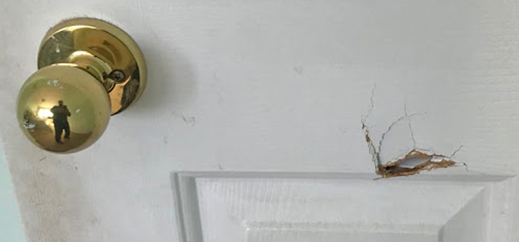 interior door hole repair Brawley